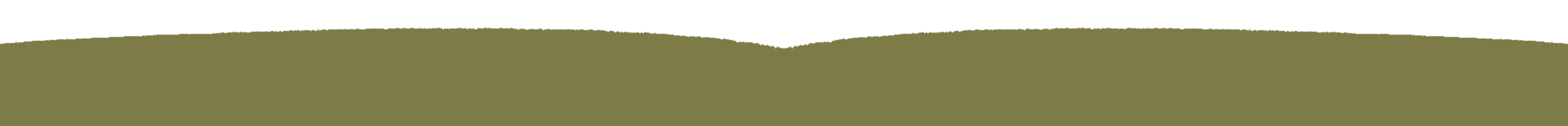 Gras V2