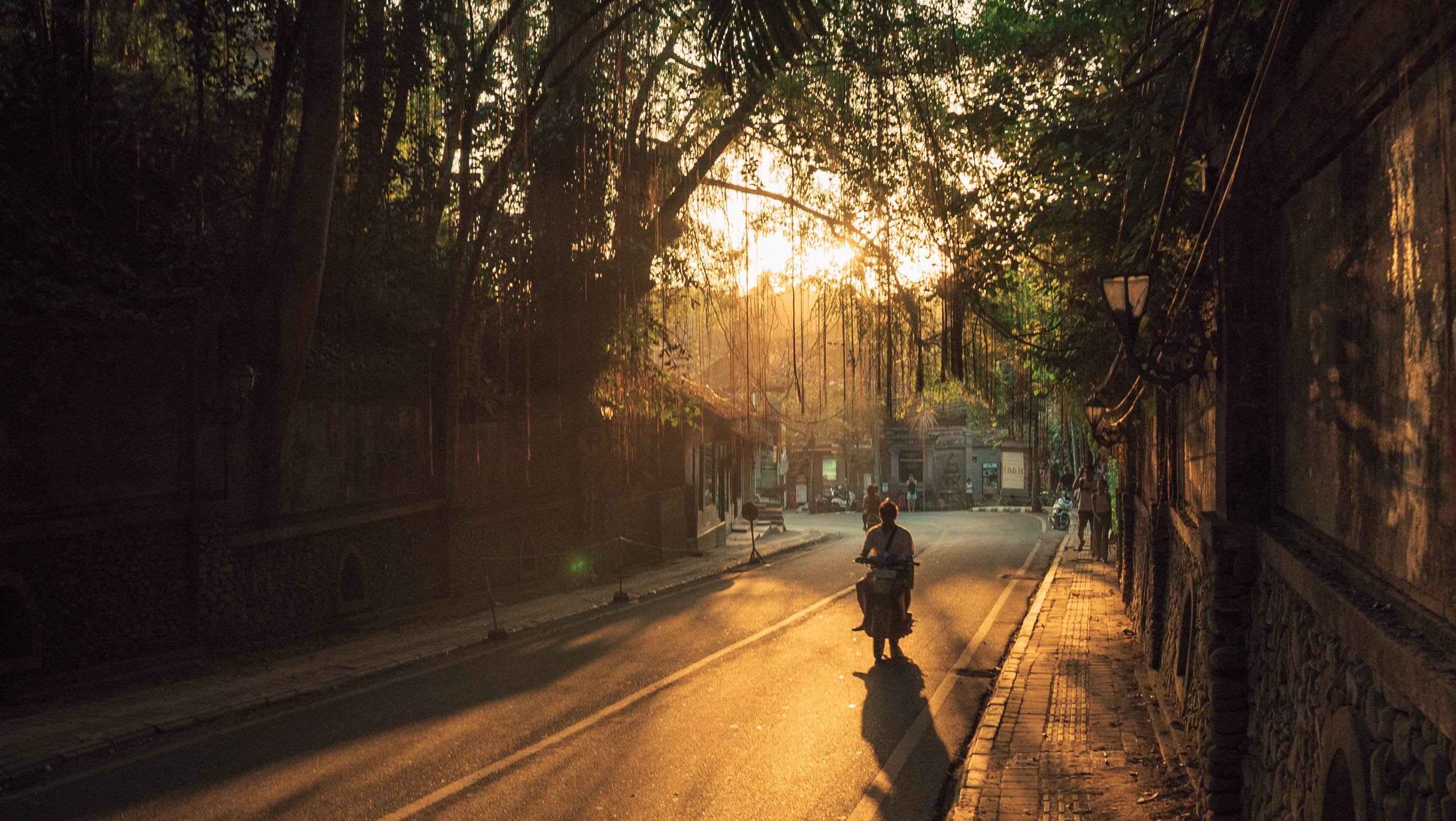 Ubud Morning Market